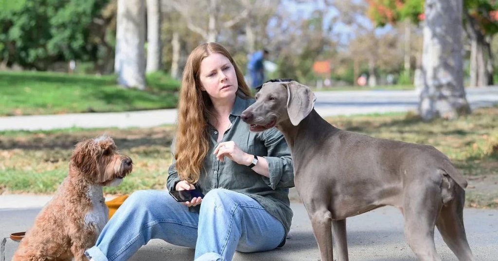 Nightbitch director Marielle Heller on Amy Adams’s relationship with her canine co-stars, and how the film is autobiographical