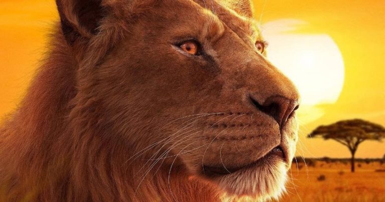 The Lion King mostly “feels the love tonight” as mixed first reactions to the live-action animated origin story emerge