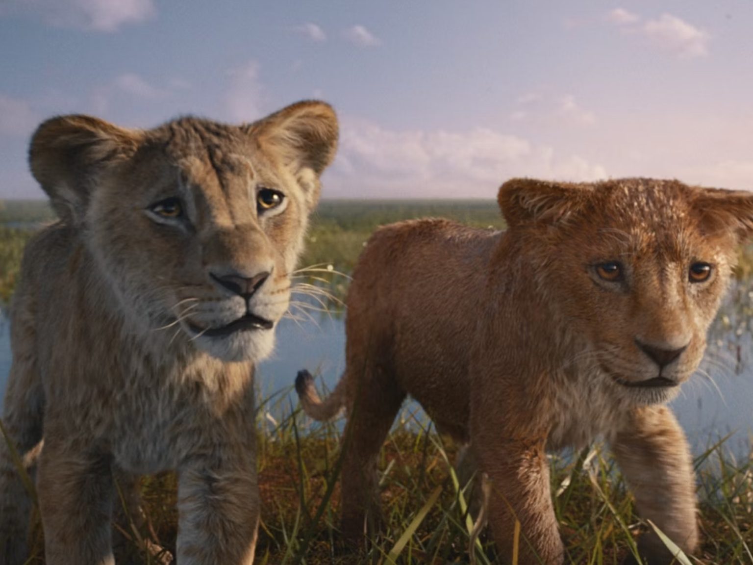 The Lion King review – let down by weak script and songs