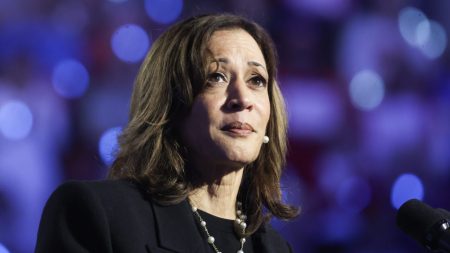 2 Suspected Burglars Arrested At Kamala Harris’ Brentwood Home