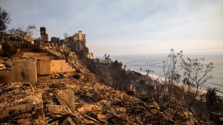 Disney Donates  Million to L.A. Wildfire Relief Efforts