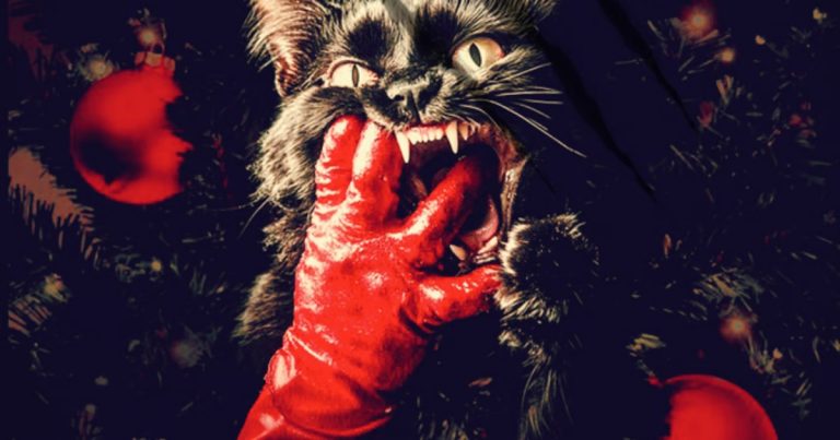 Jake Busey & Charlotte Kirk Fight Off Feral Cats in Horror Movie Catnip