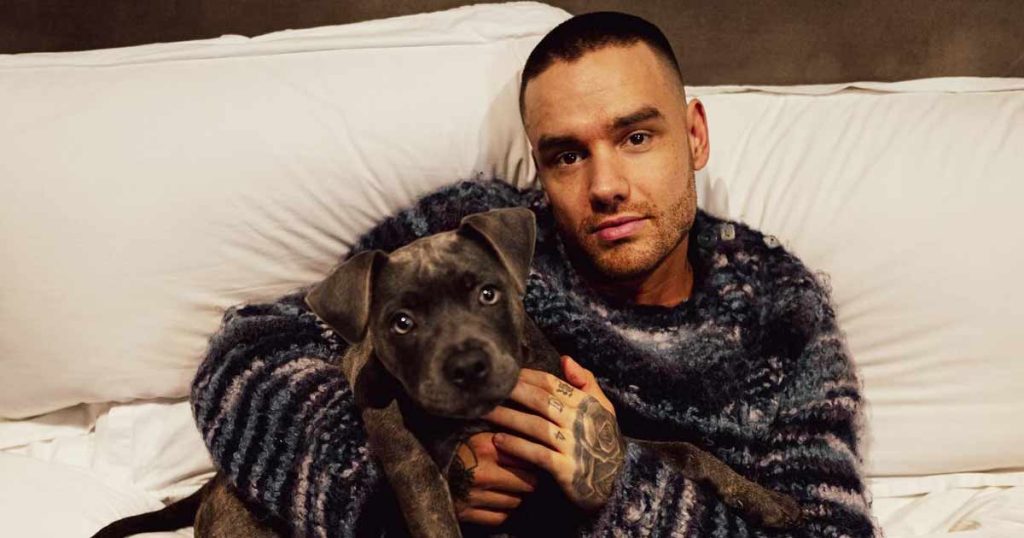 New Details Emerge On Liam Payne’s Fatal Fall & Friend’s Role In Tragic Night