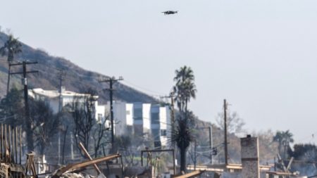 Two Arrested For Flying Drones Above Eaton Fire, Sheriff’s Dept. Says