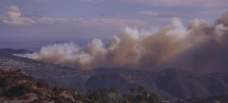 Wildfire Breaks Out In Pacific Palisades As High Winds Rake L.A.