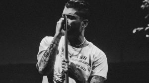 Zayn Aces His Los Angeles Homecoming: Concert Review