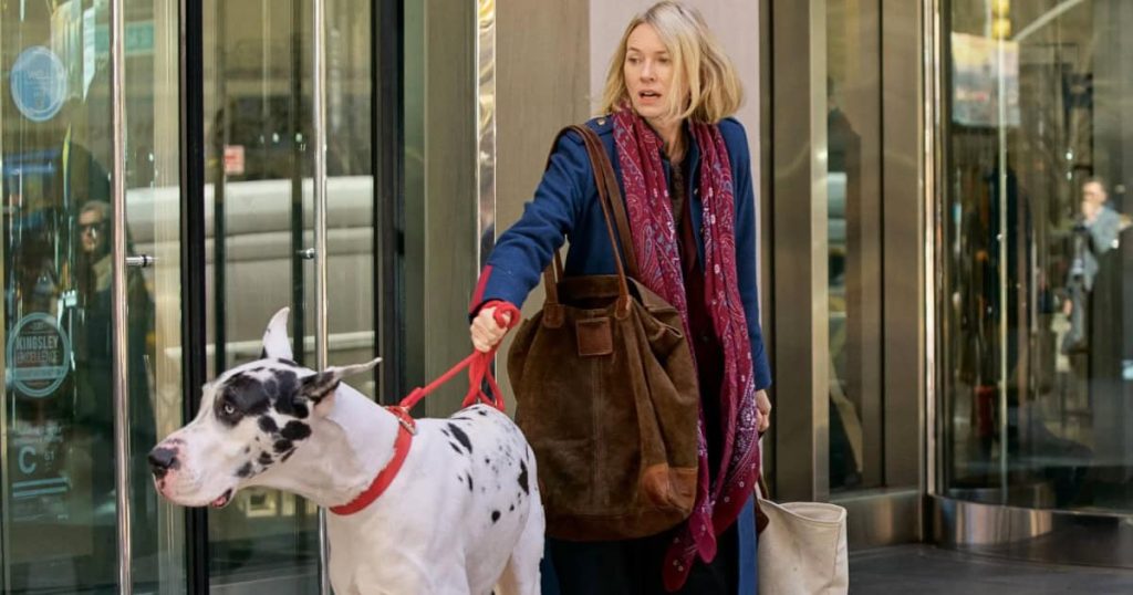 Bill Murray and Naomi Watts reunite for drama