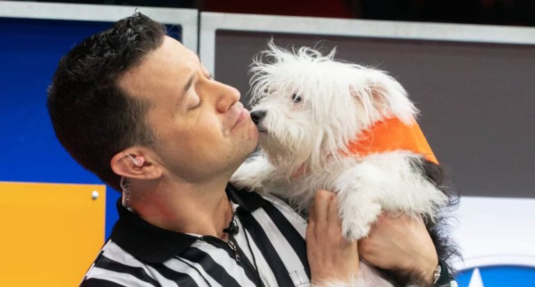 Interview with Puppy Bowl XXI host/”rufferee” Dan Schachner