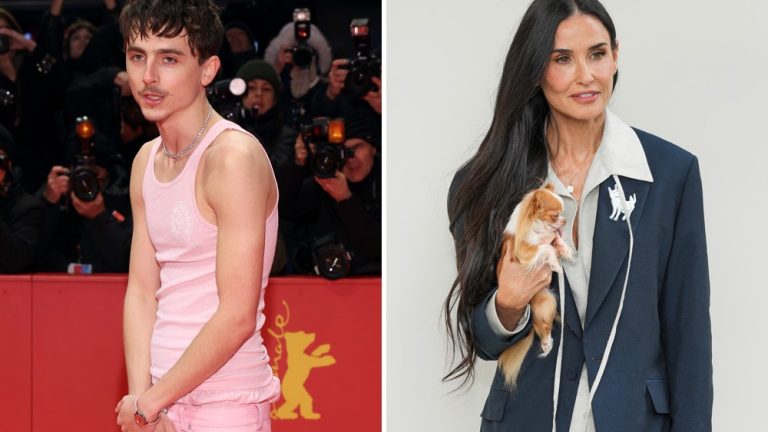 Timothee Chalamet, Demi Moore Look for International Oscars Voters