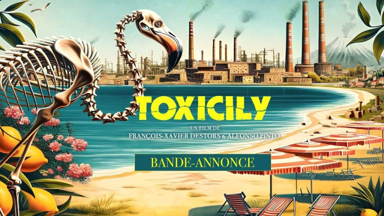 Toxicily (2024) by Alfonso Pinto , François-Xavier Destors