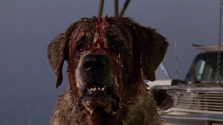 New Film Adaptation of Stephen King’s CUJO Being Developed For Netflix — GeekTyrant