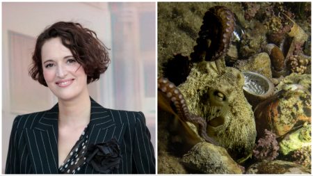 Phoebe Waller-Bridge To Narrate ‘Octopus!’ Documentary For Amazon